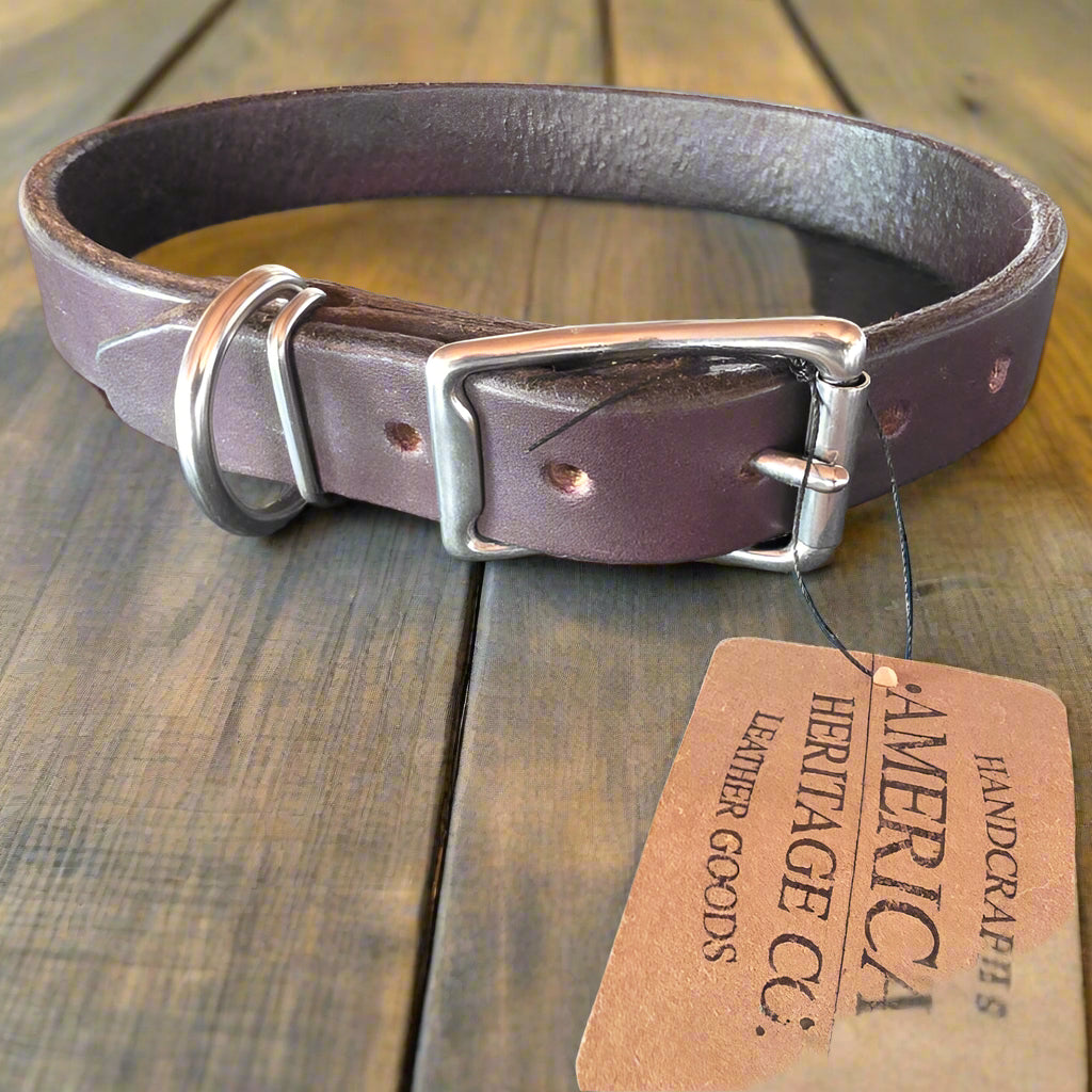 Thick English Bridle Dog Collar - 1" (M - 2XL)